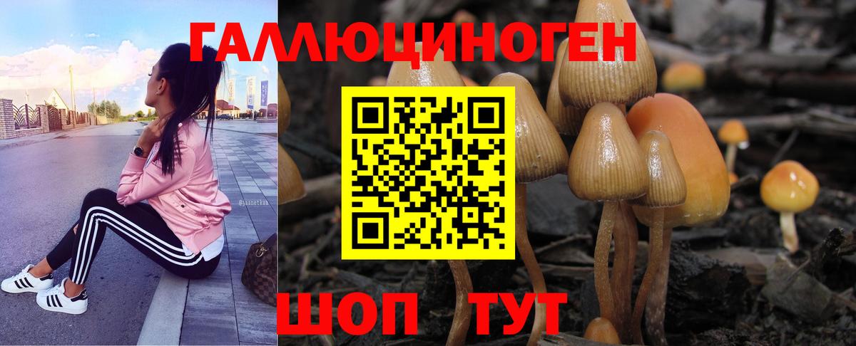 Корсаков  Галлюциногенные грибы ЛСД  Галлюциногенные грибы прущие грибы  магазин продажи наркотиков  Вход с VPN 